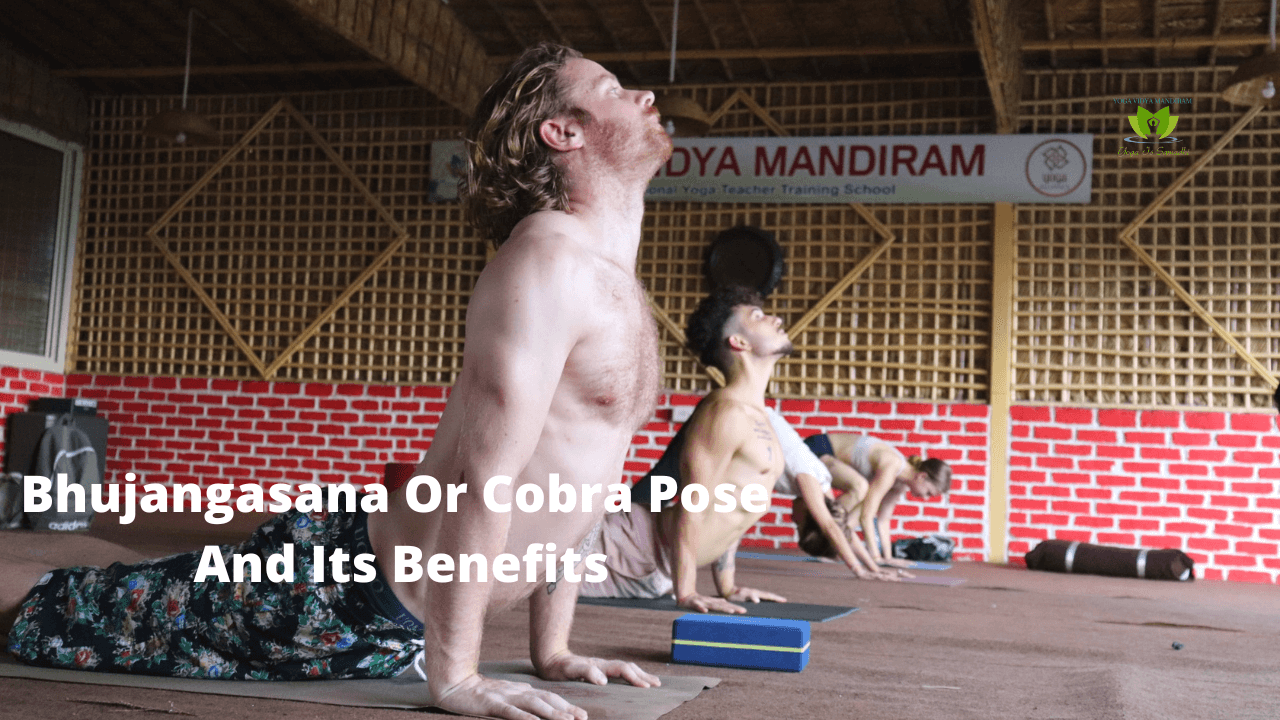 Bhujangasana Or Cobra Pose And Its Benefits