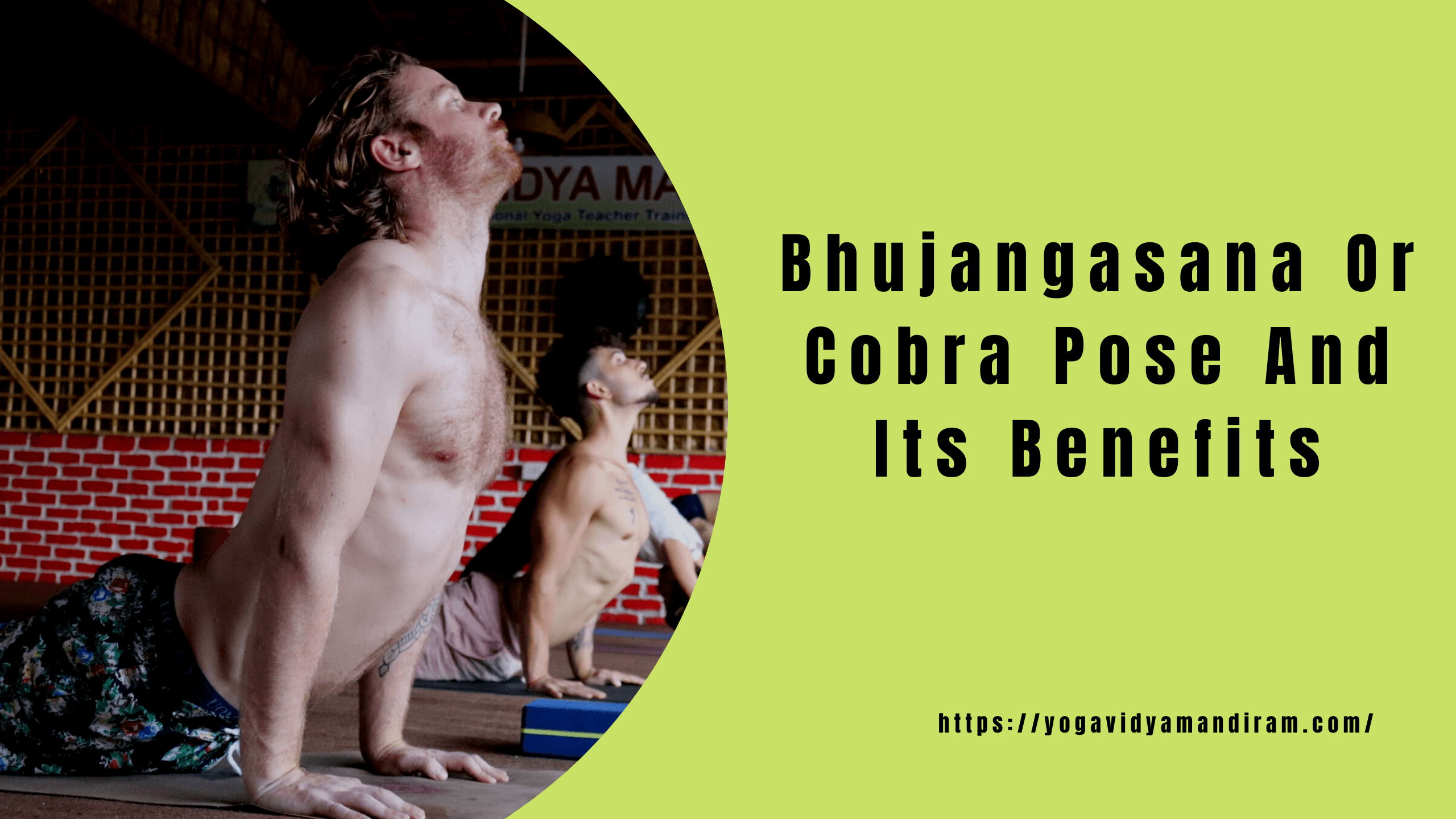 Bhujangasana: Embrace Vitality and Wellness with the भुजंगासन