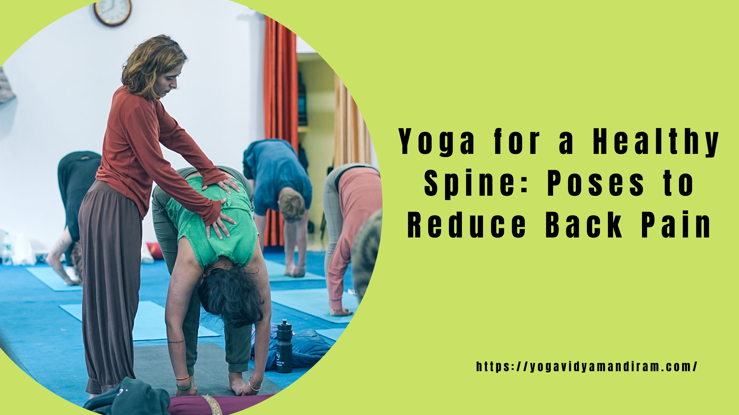 Yoga for a Healthy Spine: Poses to Reduce Back Pain